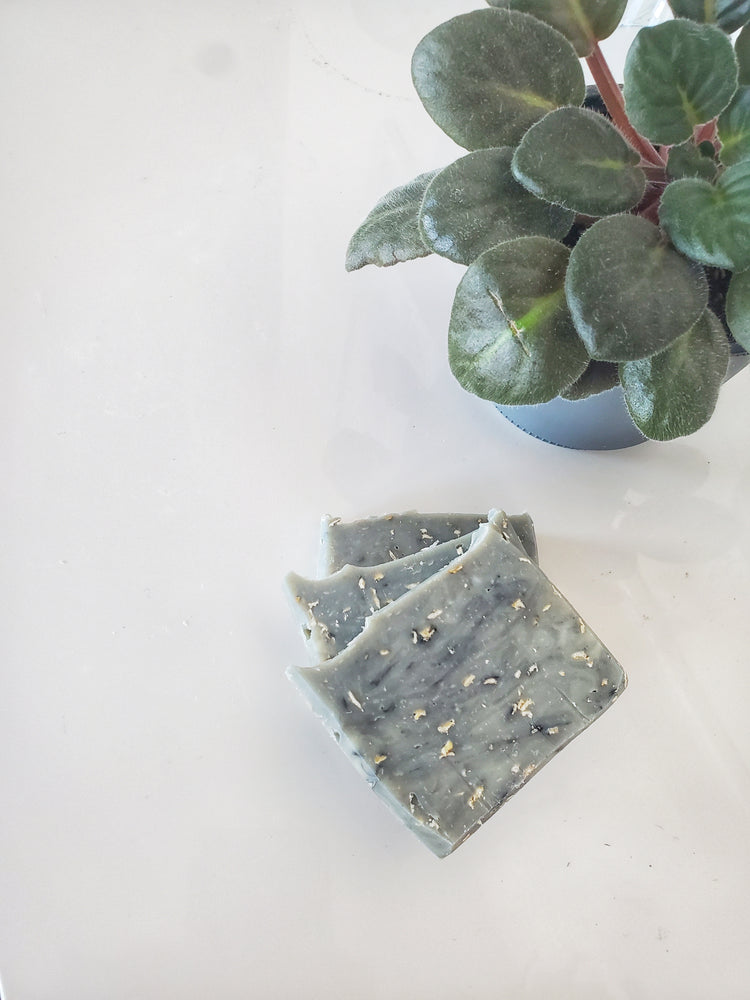 Exfoliating Body Soaps